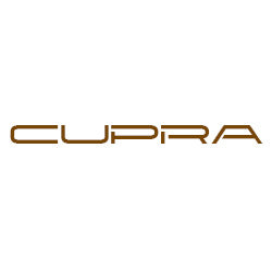 Cupra Roof Bars