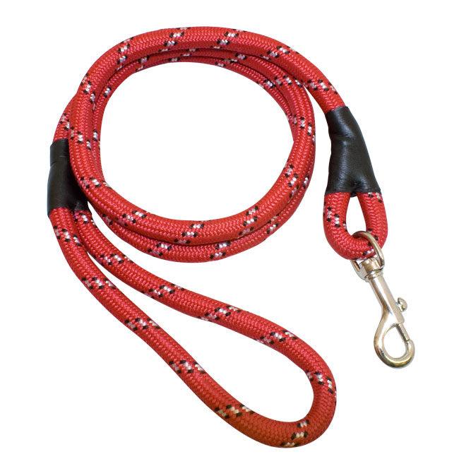 Dog Lead - Towsure