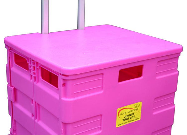 Pack & Go Lid - Pink - Towsure