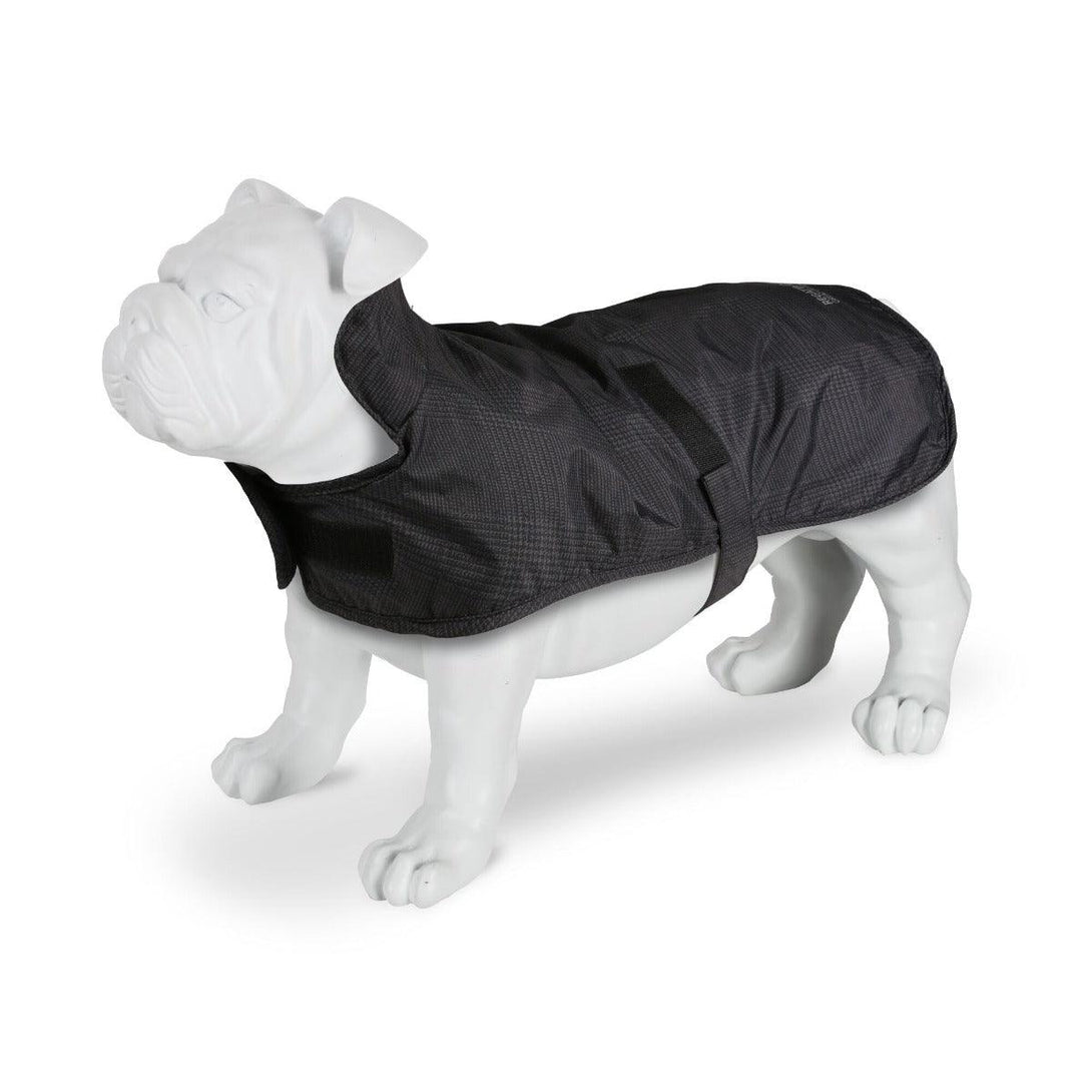 Regatta Arlo Dog Coat - Grey - Towsure