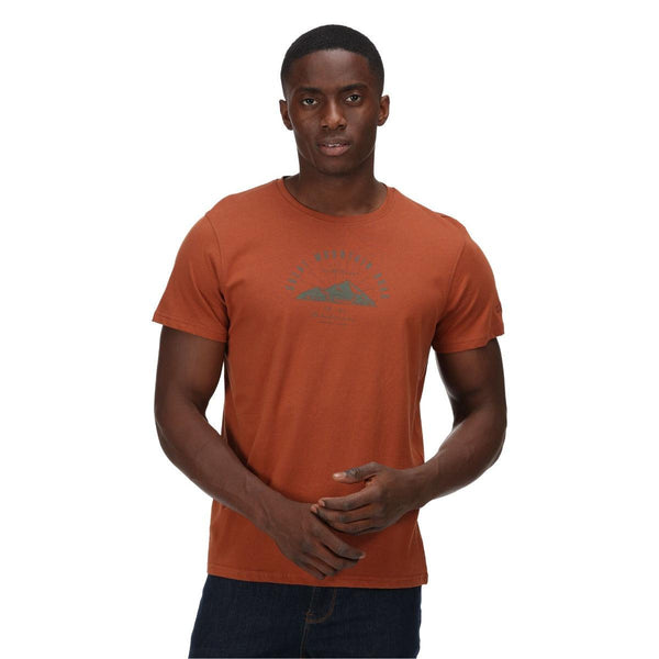 Regatta Cline VI Tee - Gingerbread - Towsure