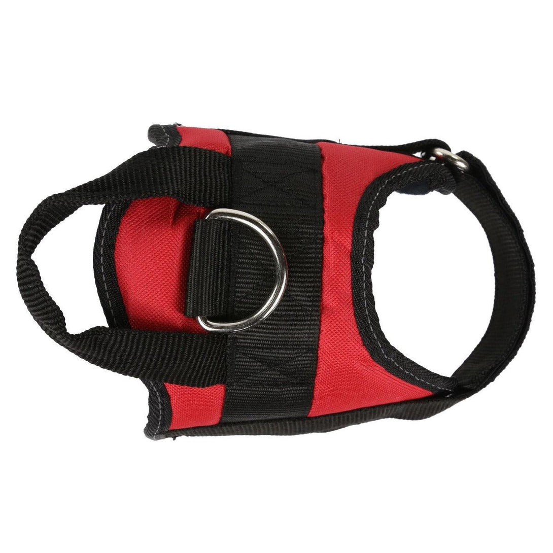 Regatta Reflective Dog Harness - Red - Towsure