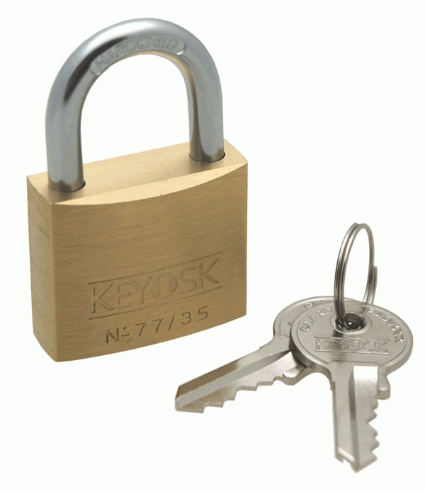 Small Brass Padlock - Towsure